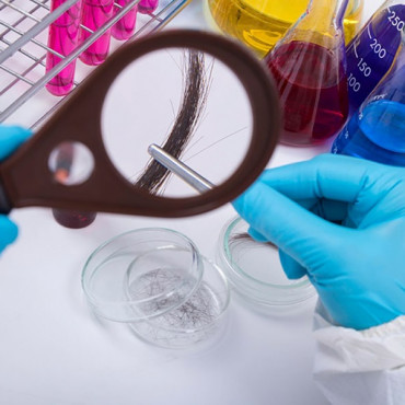 Toxicological Examination em Kelowna / BC